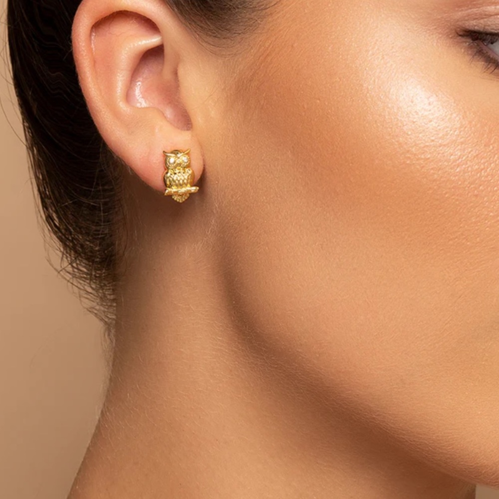 Owl Stud Earrings - never worn.